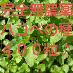 Tabby様 リクエスト 5点 まとめ商品