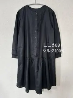 Item thumbnail for item aced3513-c7f4-441b-a8b5-0a83a81d9481