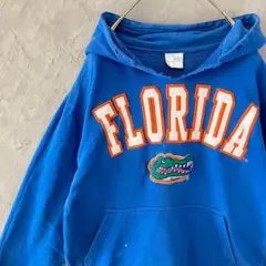 ヴィンテージ　パーカー　ダメージ　フロリダ大学　ビッグロゴ　ワニ　刺繍　IW11