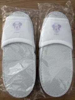 東京ディズニーリゾート