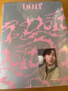 Stray Kids DO IT 通常盤 FANSリスパ　トレカ付　(ハン)