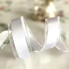 白オーガンジー 中心グログラン風