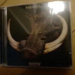 NAVASOTA 「Rootin'」 CD