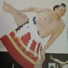 2026年最新】朝青龍の人気アイテム - メルカリ