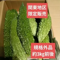 鮮度抜群◆関東地区限定販売◆約3㎏◆規格外品◆新鮮なゴーヤ 苦瓜 野菜　規格外品のサムネイル