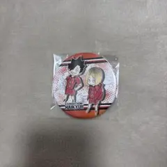 黒尾鉄朗 孤爪研磨 コレクション缶バッジ