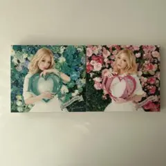 Item thumbnail for item 6fe3447e-d858-4eb5-8af5-46d1310efdb5