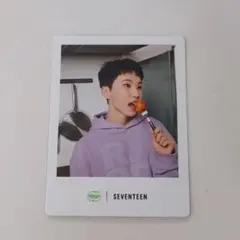 ホシ SEVENTEEN bibigo ビビゴ スナップフォト