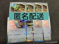 【匿名配送】 ノココッチ ノコッチ 各4枚