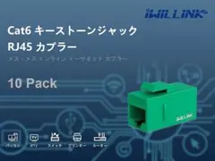Iwillink RJ45 Cat6 キーストーンカプラー LAN ケーブル用
