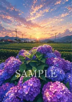 天の花地の花 : 五木玲子画集 - メルカリ