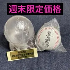 週末限定　東洋大姫路高校ケース付きボール