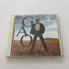 GAO