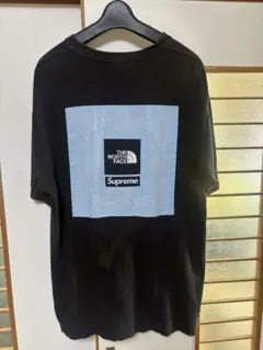 Supreme®/The North Face Bandana Tee 22SS