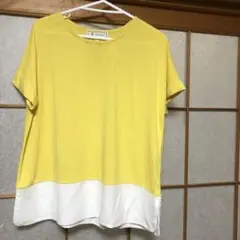 ロペピクニックのトップス