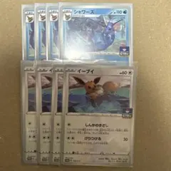 シャワーズジムプロモ