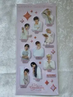 2026年最新】シーグリ &teamの人気アイテム - メルカリ