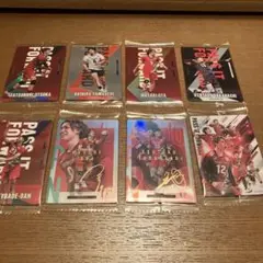 バレーボール　ウエハース　カード　8枚セット