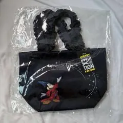 Disney mickeyミッキー ファンティリュージョンリュック | Mercari