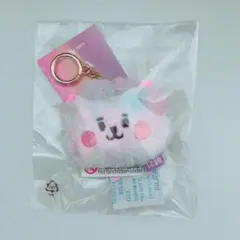 BT21 BABY レインボーフラットフェイスバッグチャーム RJ