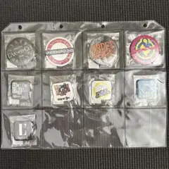 ブランキージェットシティー タワレコ特典バッジ コンプリート - メルカリ