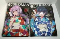 SSSS.GRIDMAN グリッドマン 宝多六花 新条アカネ　Tシャツ