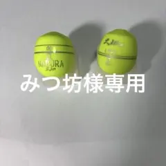 Item thumbnail for item 1bb44efa-0d0e-46d9-9de6-467699f1e336