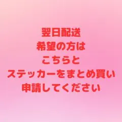 弐 ⚠︎︎プロフ必読⟡.·*.様 リクエスト 2点 まとめ商品