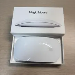 Apple magic mouse 2021