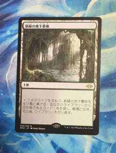 新緑の地下墓地 Verdant Catacombs 英語ZEN初版 MTG - メルカリ