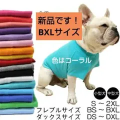 Item thumbnail for item 9739f63e-4d01-427c-9630-b21335a02275