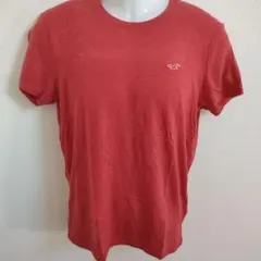 HOLLISTER Tシャツ S