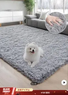 ラグ インテリア