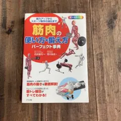 Item thumbnail for item 58ccb451-4180-4b63-8f62-c2e834df571c