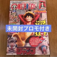 2026年最新】one pieceの人気アイテム - メルカリ