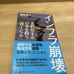 インフラ崩壊 : 老朽化する日本を救う「省インフラ」