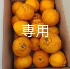 すー様専用ページです。