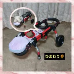 SPORTSSTUFF SKI TRIX 牽引チューブ 1人乗りバナナボート - メルカリ