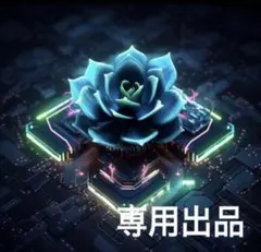 専用ページです