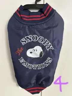 Item thumbnail for item 008c396c-4d5a-47df-81cb-a3881b42c172