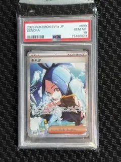 2026年最新】キハダ sar psa10の人気アイテム - メルカリ