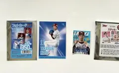 非売品 河村勇輝選手 出港式 パンフレット クリアファイル ポスト