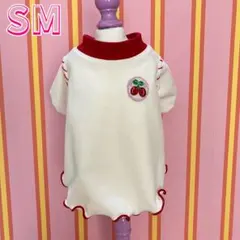 Item thumbnail for item abe5430a-221f-4359-a103-0699645203e5