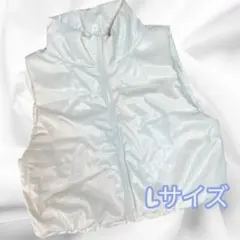 Item thumbnail for item f4bee2a4-53f3-4e4f-943e-36655b71ec49