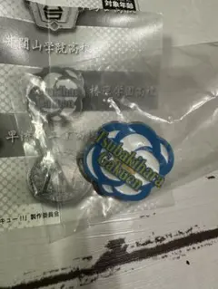 ハイキュー 高校モチーフピンバッジ3 〜全国編〜 ・椿原学園高校