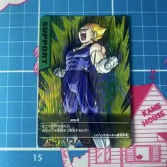 ドラゴンボールカード データカードダス ベジット ドラゴンボールZ データカードダス『ベジット 爆レア』 【公式通販】