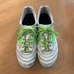 Item thumbnail for item 0bae1800-7cdf-4148-9a99-c4125584c62a