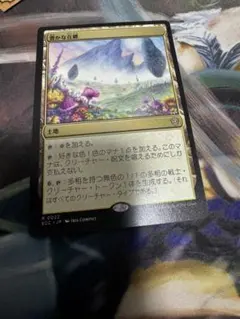 2026年最新】豊かな mtgの人気アイテム - メルカリ