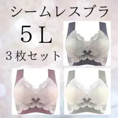 ５L　ノンワイヤー ナイト　シームレス　スッキリ　美胸　レース　上品　着痩せ