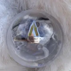 嵐　カプセルトイ　ガチャガチャ　AROUND ASIA 2008 TOKYO